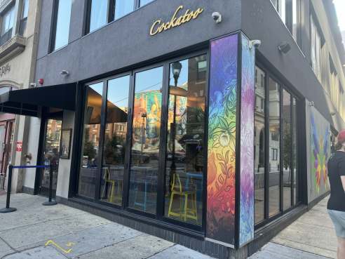 COCKATOO by CANDIS R. MCLEAN