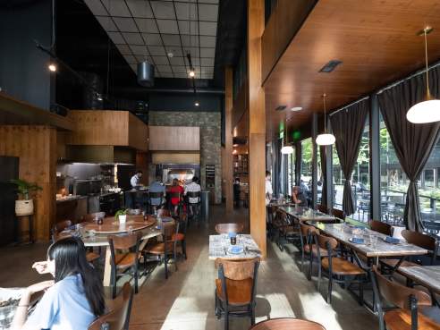 Paju by Nate Watters