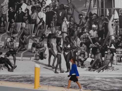 Jungle Plaza by Courtesy Photo