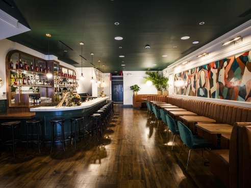 Jungle Bird by Eric Medsker