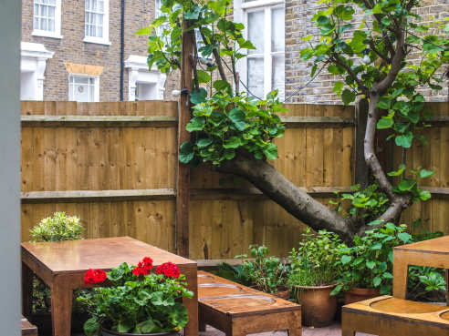 Theo's by Karolina Wiercigroch