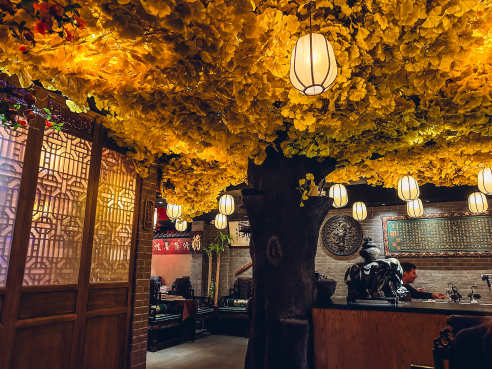 BODAI 菩提 Vegan by Molly Fitzpatrick