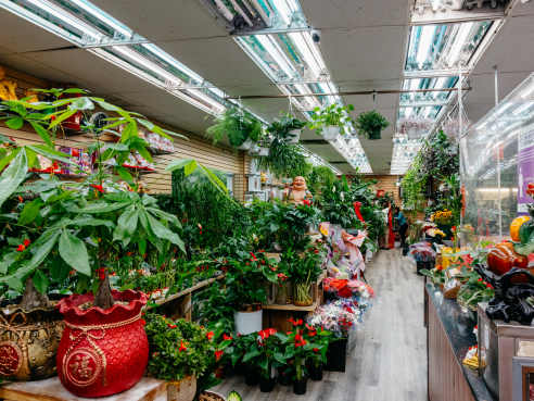 Soy Bean Chan Flower & Gift Shop by Kate Previte