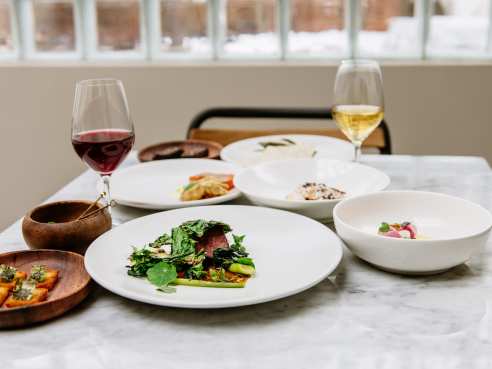 Oxalis by Teddy Wolff