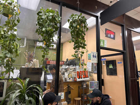 Picaresca Barra de Cafe by Sylvio Martins