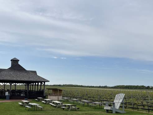 Pindar Vineyards by Anne Cruz