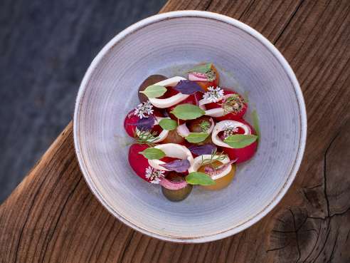 Sierra Mar by Allison Green