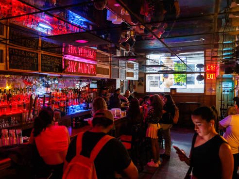 Sly Fox by Alex Staniloff