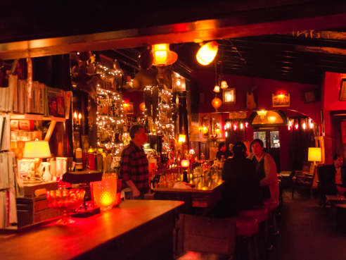 The Royal Cuckoo by Susie Lacocque