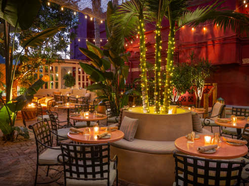 Tacolina by Tucker Kaufman