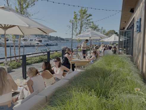 The Cove by Gabe Guarente