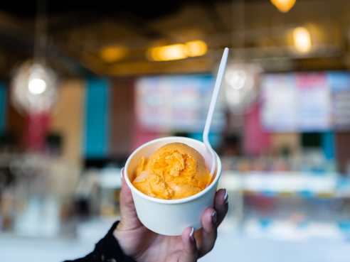 Where's The Scoop? by Brit Finnegan