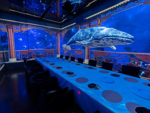 Wagyu House Chicago by Nathan Media