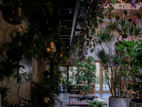 Arcana by Javier Castro