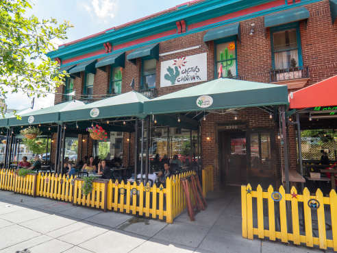 Cactus Cantina by Nina Palazzolo