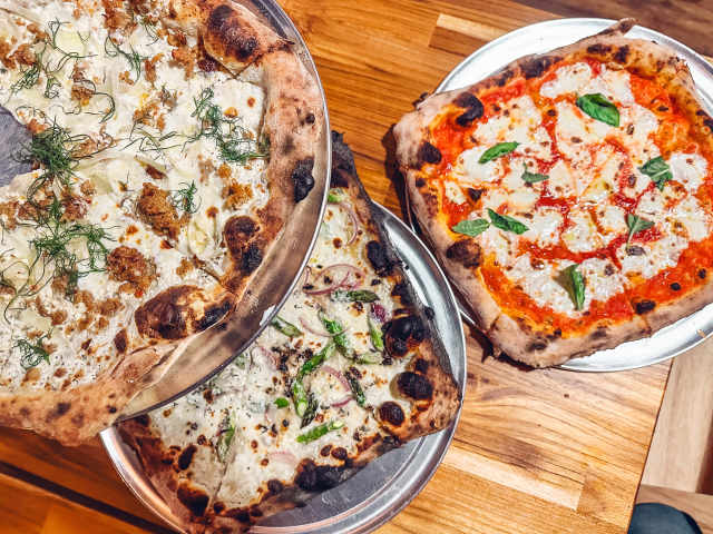 Catbird Asbury Park by Emily Schindler