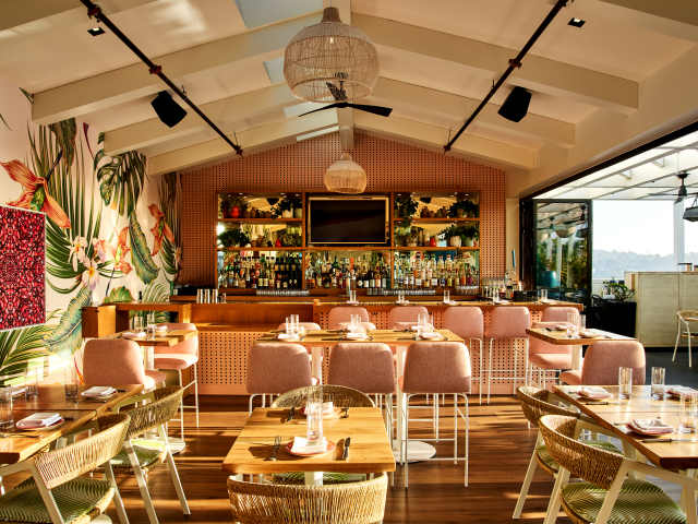 Butterfly by Katrina Frederick