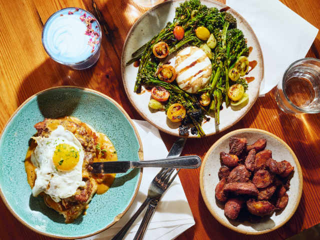 BEARCAT CBD by Cory Fontenot