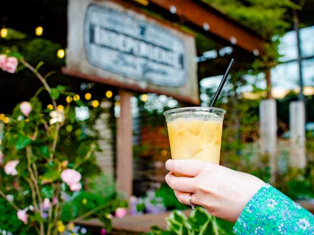 Independence Beer Garden by NICOLE GUGLIELMO