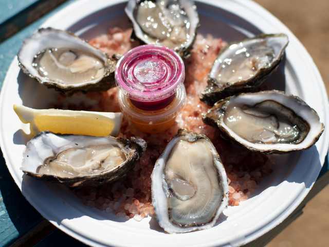 The Jolly Oyster Ventura by The Jolly Oyster