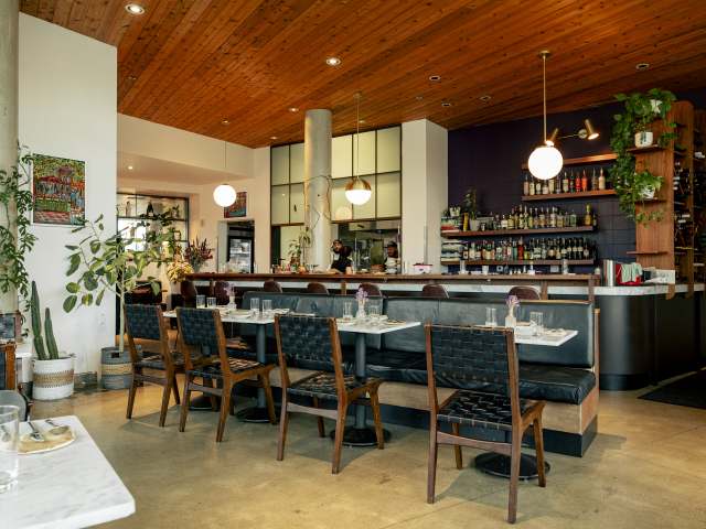 Lilia Comedor by Brooke Fitts