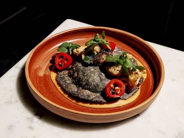 Lilia Comedor by Brooke Fitts