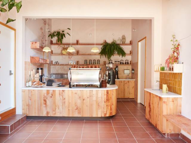 Marigold by Mariko Reed