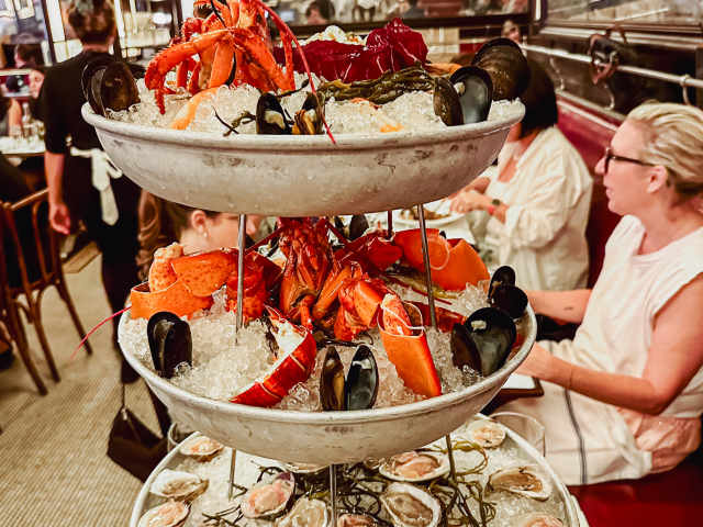 Balthazar by Molly Fitzpatrick