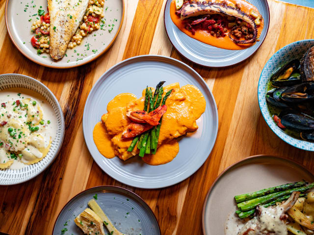 Olea by NICOLE GUGLIELMO