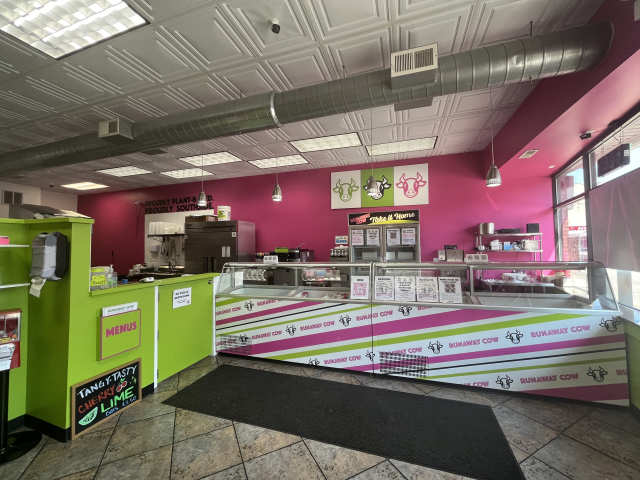 Runaway Cow by Veda Kilaru