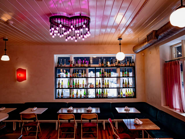 Sally by Nicole Guglielmo