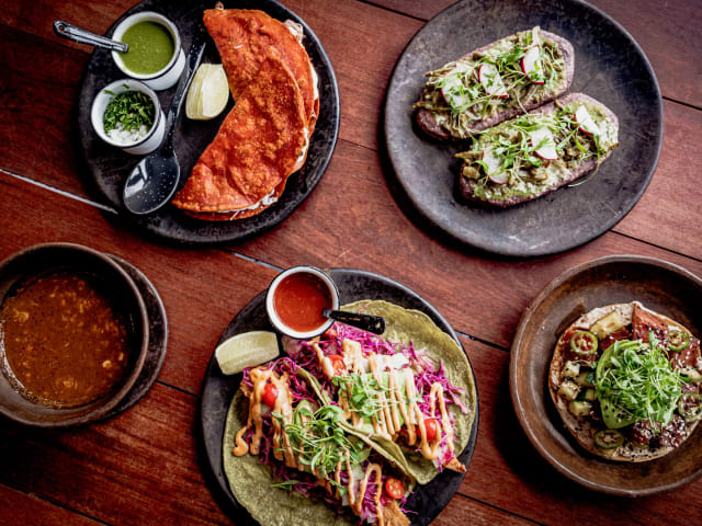 Sor Ynez by NICOLE GUGLIELMO