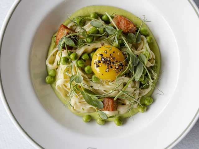 Bar Bludorn by Lauren Holub