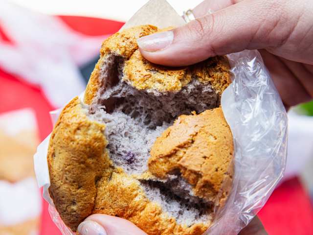 Spongies Cafe by Kate Previte