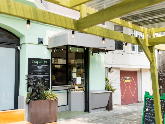 Nopalito by Susie Lacocque