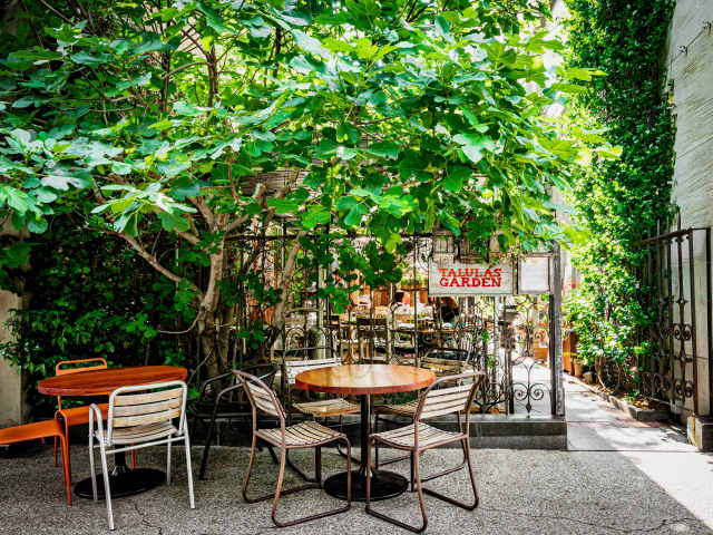 Talula's Garden by NICOLE GUGLIELMO