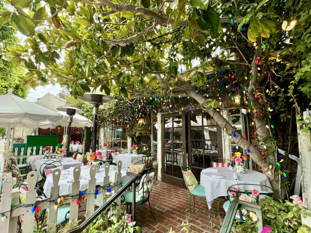 The Ivy by Brant Cox