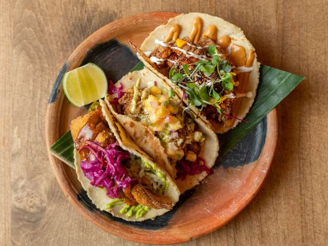 Donaji by Carly Hackbarth