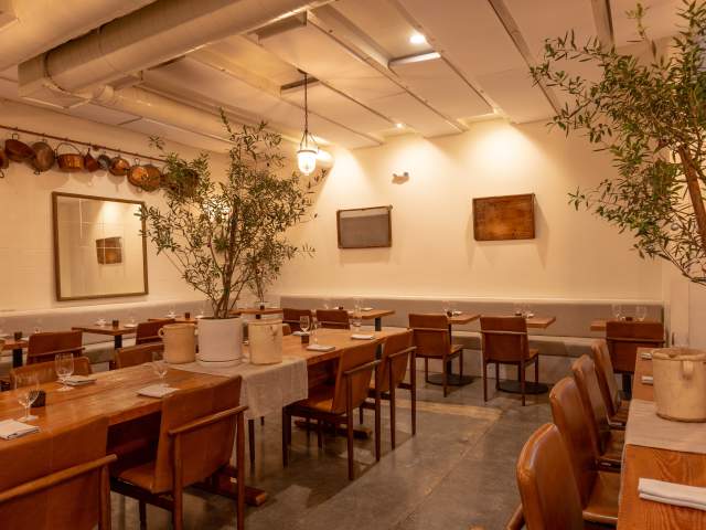 Antico Nuovo by Jessie Clapp