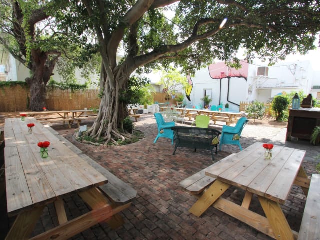 Ms. Cheezious by Infatuation - Reviews