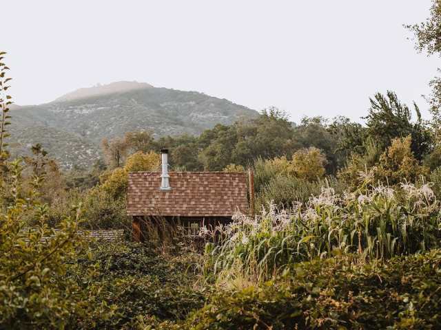 Stone Soup Farm & Heritage Orchard by Infatuation - Reviews