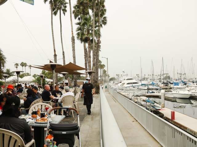 Schooner Or Later by Infatuation - Reviews