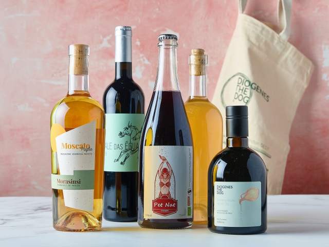 Diogenes The Dog by @TheInfatuation