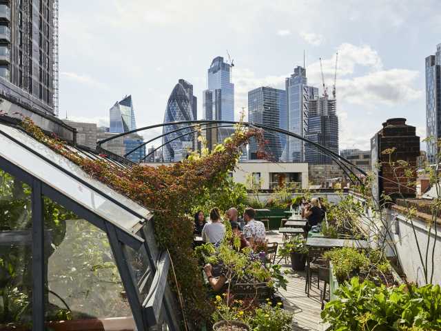 The Culpeper by @TheInfatuation