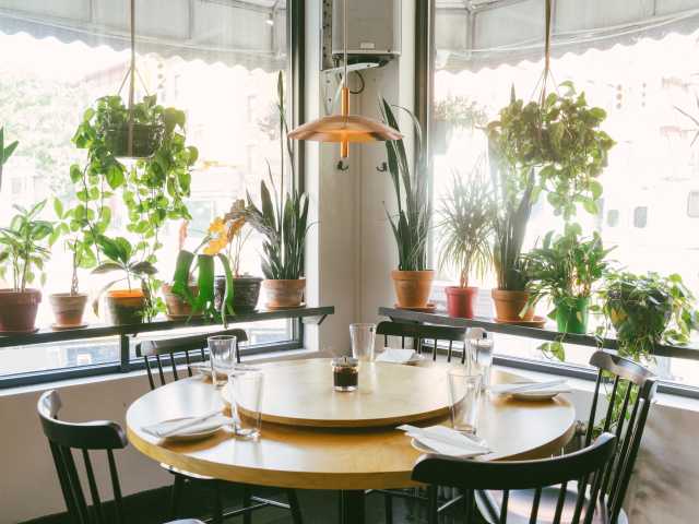 Win Son by @TheInfatuation