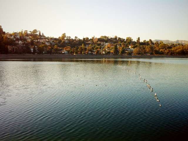 7-Eleven by Infatuation - Reviews