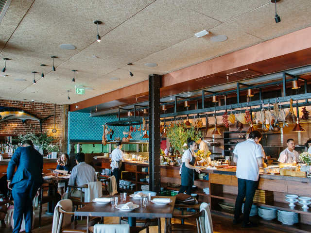 Angler by Stephanie Court