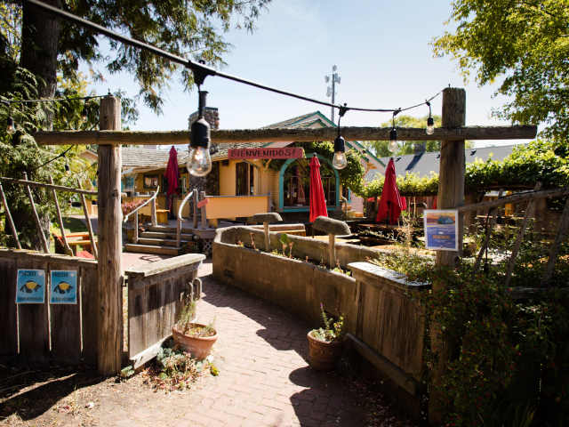 Mijitas Mexican Kitchen by Infatuation - Reviews