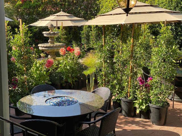 Zaytoon by Infatuation - Reviews