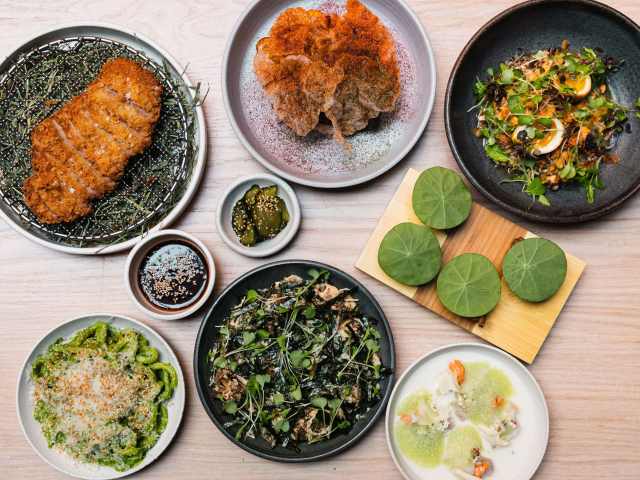 Llama San by @TheInfatuation